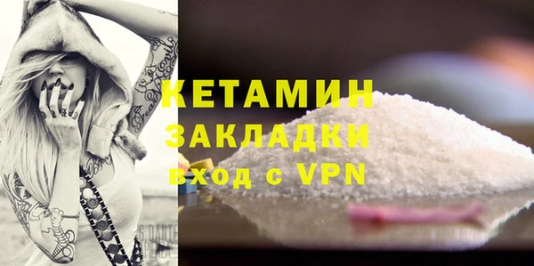 индика Богданович