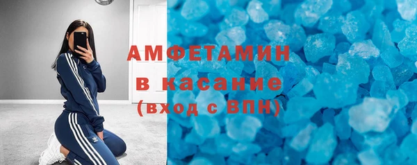 индика Богданович