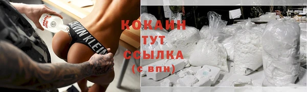 индика Богданович
