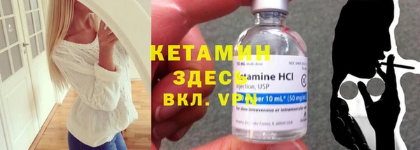 индика Богданович