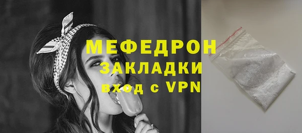 индика Богданович