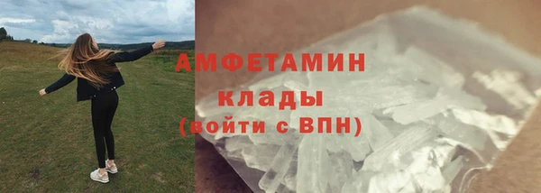 индика Богданович