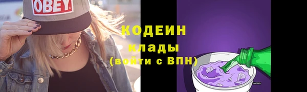 индика Богданович