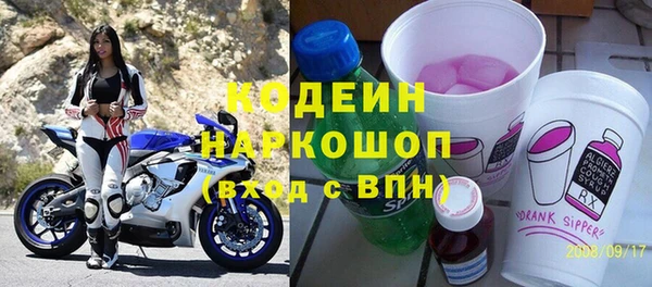 индика Богданович