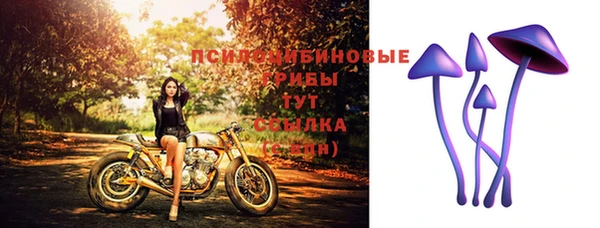 индика Богданович