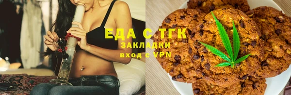 индика Богданович