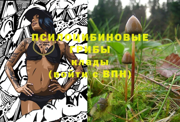 марки nbome Сатка
