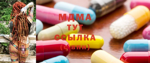 индика Богданович