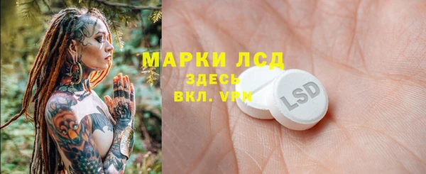 индика Богданович