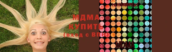 индика Богданович