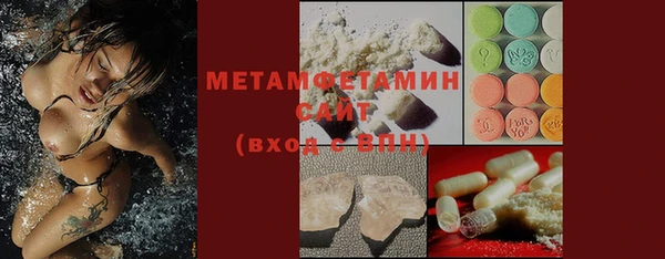 индика Богданович