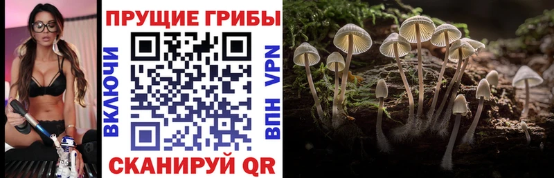 blacksprut онион  дарнет шоп  Котовск  Галлюциногенные грибы мухоморы 